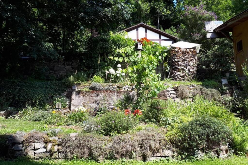 Eine Gemuetliche Ferienwohnung Mit Garten Bad Karlshafen Eksteriør bilde