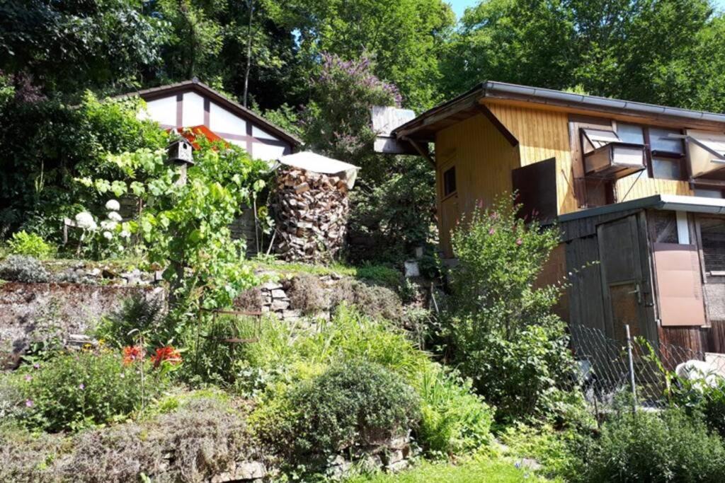 Eine Gemuetliche Ferienwohnung Mit Garten Bad Karlshafen Eksteriør bilde