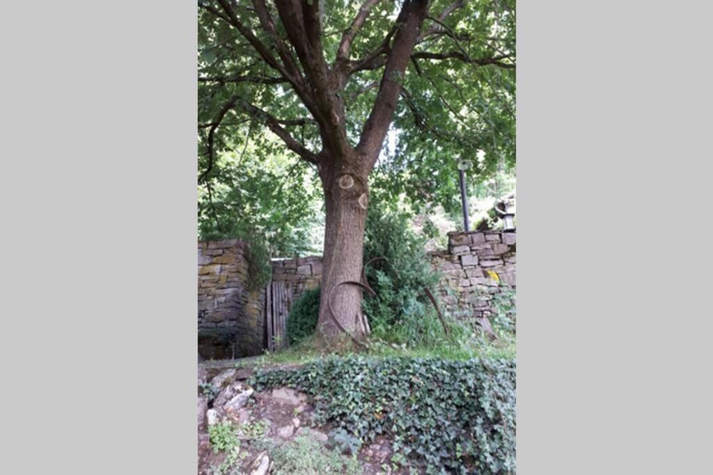 Eine Gemuetliche Ferienwohnung Mit Garten Bad Karlshafen Eksteriør bilde