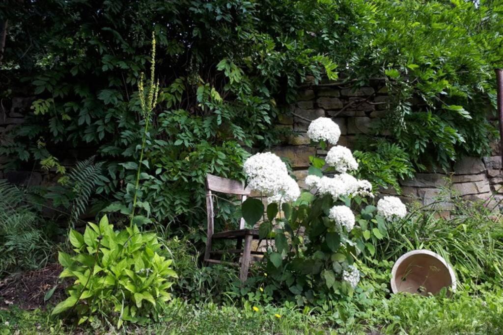 Eine Gemuetliche Ferienwohnung Mit Garten Bad Karlshafen Eksteriør bilde